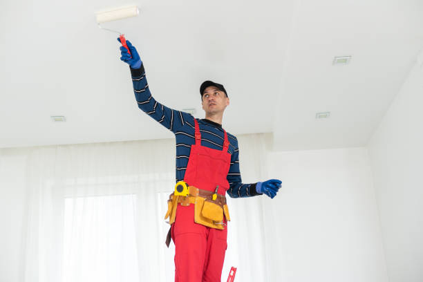 Best Post-Construction Mold Inspection  in Escatawpa, MS