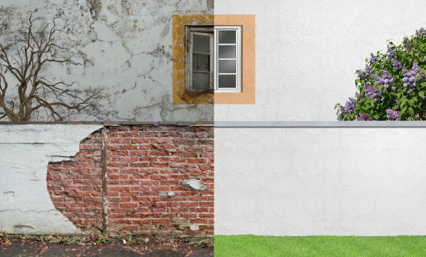 Best Mold Prevention Services  in Escatawpa, MS