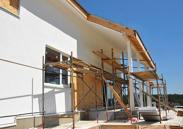 Best Mold Damage Restoration  in Escatawpa, MS