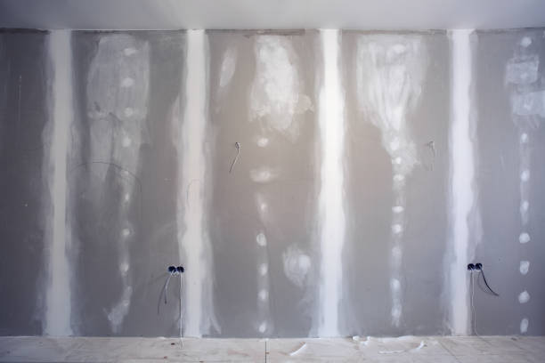Mold Removal for HVAC Installations in Escatawpa, MS